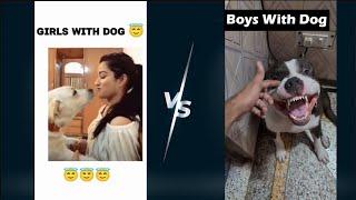 Girls Dogs Vs Boys Dogs  | #pitbull #reels #shorts #short #pitbulldog