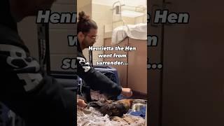 This is Henrietta's story ️