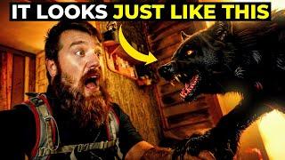 3 Disturbing Eyewitness Encounters Of Dogman