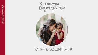 Путешествие по Москве | Дошкольники | Окружающий мир #32 | Инфоурок