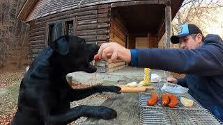 COOKING AT THE ABANDONED CABIN IN THE WOODS