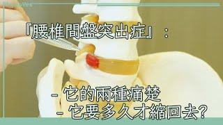 「腰椎間盤突出症」的兩種痛楚 | 它要多久才縮回去？| Lumbar Herniated Disc Disease 《腰痛 · 因椎間盤》 第3集