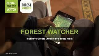 Forest Watcher: Monitor Forests Offline and In the Field