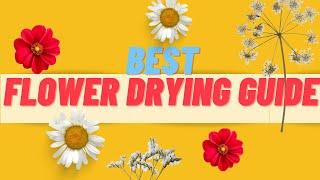 How To Dry Flowers  5 Ways | Complete Guide To Drying Flowers