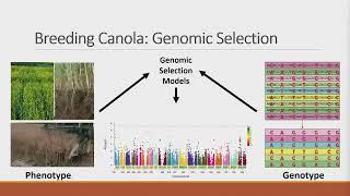 Day 3, Session 3 & 4: Hybrid Heterosis and Production & Gene Editing Panel