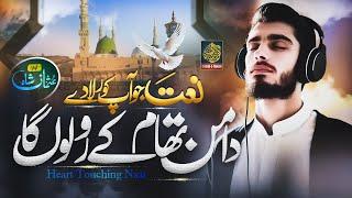 Naat | Heart Touching Naat Sharif 2024 | Dhaman Tham Ky Ro Lo Ga Naat | Usman Shah | Gosha e Tanhai