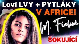 Michaela Fialová:  Loví LVY a PYTLÁKY v Africe (vlastníma rukama)...šokují SKUTEČNOSTI