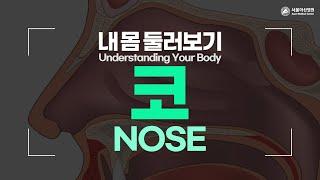 Nose [Understanding Your Body]