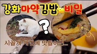 강화아재(051)강화마약김밥의비밀!! 낮12시30분이면 동이나버리는 그,김밥의비밀은?시골개의 도시개간식재도전!!