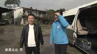 《远方的家》 20230714 山河锦绣看中国 依山傍海 活力南粤|CCTV中文国际