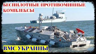 ВМС Украины закупит беспилотные противоминные комплексы