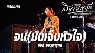 จน(มันเจ็บหัวใจ) - มอส ขจรจารุกุล (คอนเสิร์ตสหายพาโล 5/8/66)