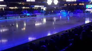 Herning Blue Fox lysshow