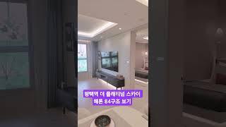 평택역 더 플래티넘 스카이 헤론 84구조 보기 상담 01057029937
