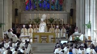 Archbishop John Wilson Chrism Mass homily 2024