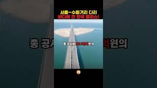 서울-수원거리의 다리??? 바다위에 깐 한국 클라스!