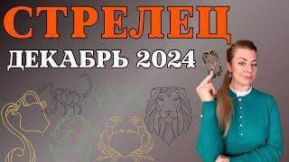 СТРЕЛЕЦ декабрь 2024: гороскоп ТАРО Анна Ефремова