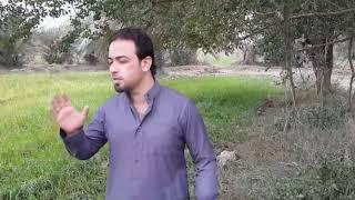 احمد القلعاوي لحضة حلم فيديو كليب