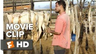 Neon Bull Movie CLIP - Tails (2016) - Juliano Cazarré, Maeve Jinkings Drama HD