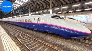 Taking Japan's OLDEST Bullet Train Shinkansen from Niigata to Tokyo