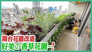 【陽台改造陽台設計植物推薦|南京高樓層香草花園】戶外植生牆綠牆花牆露台綠化景觀園藝花藝設計 到府施工規劃維護自動澆水 人造綠牆植栽牆植物牆 金獎布花園 陽台欄杆牆壁花架diy改造費用 傑群設計有限公司