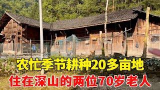 探访住在深山的两位老人，农忙季节种了20多亩地，70岁还这么勤劳！【乡村阿泰】