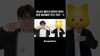 꽁냥이 챌린지 원작자 등판! 직접 말아주는 챌린지 공개#꽁꽁얼어붙은한강위로고양이가걸어다닙니다 #꽁냥이챌린지 #꽁냥이 #챌린지