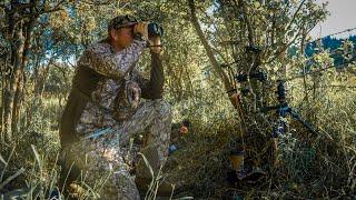 Stalking Muleys, Sitting For Whitetails And Rushing Elk | Hunting 2021 |