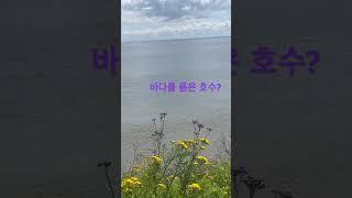 들어는 봤나, 호수의 #파도소리?#Superior lake in Duluth USA