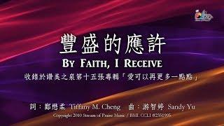 【豐盛的應許 By Faith, I Receive】官方歌詞版MV (Official Lyrics MV) - 讚美之泉敬拜讚美 (15)