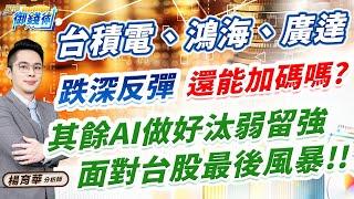 (有CC字幕)2024.11.22【台積電、鴻海、廣達 跌深反彈還能加碼嗎? 其餘AI做好汰弱留強 面對台股最強風暴!!!】#楊育華 #股市御錢術