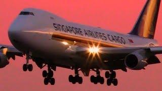 STUNNING Summer Sunset Heavy Aircraft CLOSE-UP Landings | Melbourne Airport Plane Spotting