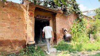 Amazing ! This Man Turned His Grandpa Abandoned House and Garden Into a Home Warm in the Mountains