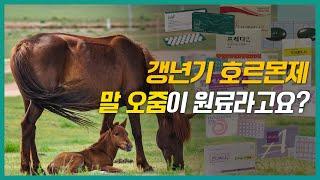 내가 먹는 갱년기 호르몬제 어떤 성분일까? (다양한 종류 소개)