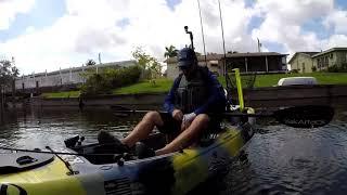 Kayak Fishing for Peacock Bass in Miami!