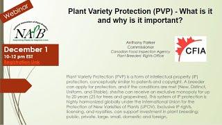 Plant Variety Protetion (PVP)