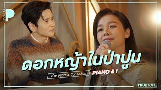 ดอกหญ้าในป่าปูน | ต่าย อรทัย x TorSaksit (Piano & i Live)