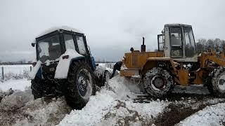 ПОСТУПИЛ В АКАДЕМИЮ СЕЛЬСКОГО ХОЗЯЙСТВА, ПРИЕХАЛ ДОМОЙ И СРАЗУ НА ФЕРМУ РАБОТАТЬ