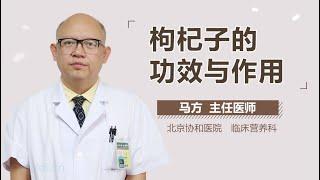 枸杞子的功效与作用 有来医生