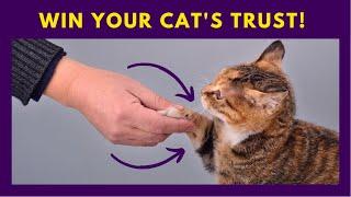 10 Proven Signs that Your Cat Trusts You ️