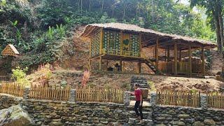 Harvesting ginger gardens to sell at markets, pets, farms | Lý Thị Viện