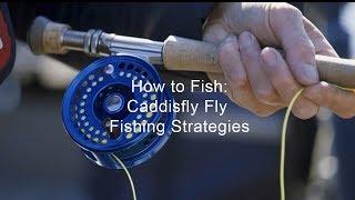 How to Fish: Caddisfly Fly Fishing Strategies | GoFishBC