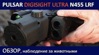 Pulsar Digisight Ultra N455 LRF. Обзор, наблюдение за животными.