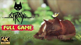 STRAY Gameplay  FULL GAME 4K 60FS   No Commentary