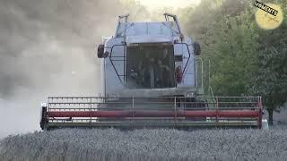 Harvester Claas Lexion 460 doing his job in late summer