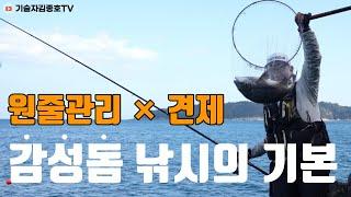 초보분들이 가장 안되는 원줄관리+견제 한방에 정리 합시다!!  #기술자김종호 #사량도