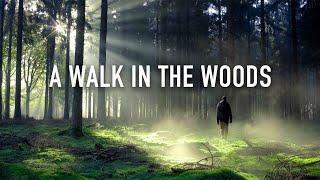 Guided Mindfulness Meditation: A Walk in the Woods [12 Minutes Spoken]