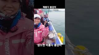 봄갑오징어낚시 해로운데 매우 이로운낚시 잡으면 장땡 #낚낚#fishing #fishingkorea #문어낚시 #낚시유투버 #angler