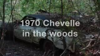 1970 Chevelle found in Woods on Junkyard Life