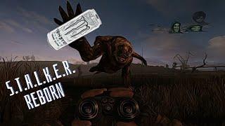 S.T.A.L.K.E.R. Reborn